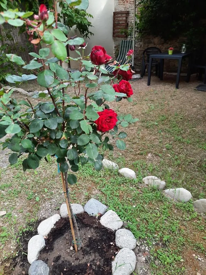 Appartamento Au Jardin De Florence Bed and Breakfast